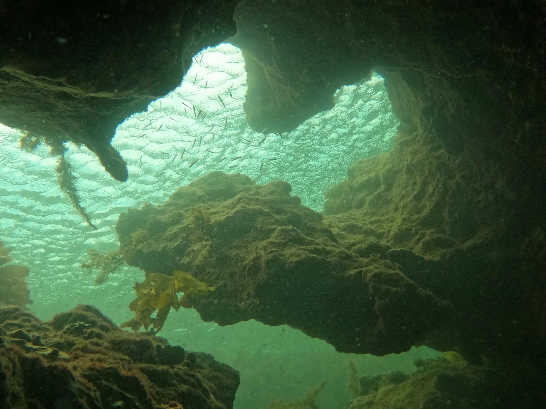Rocky reef shaped like australia