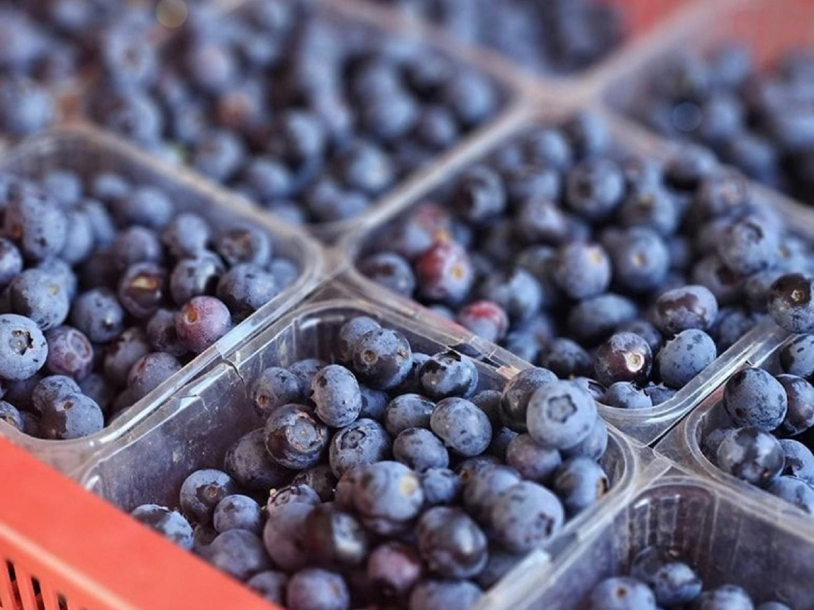 Fresh blueberries