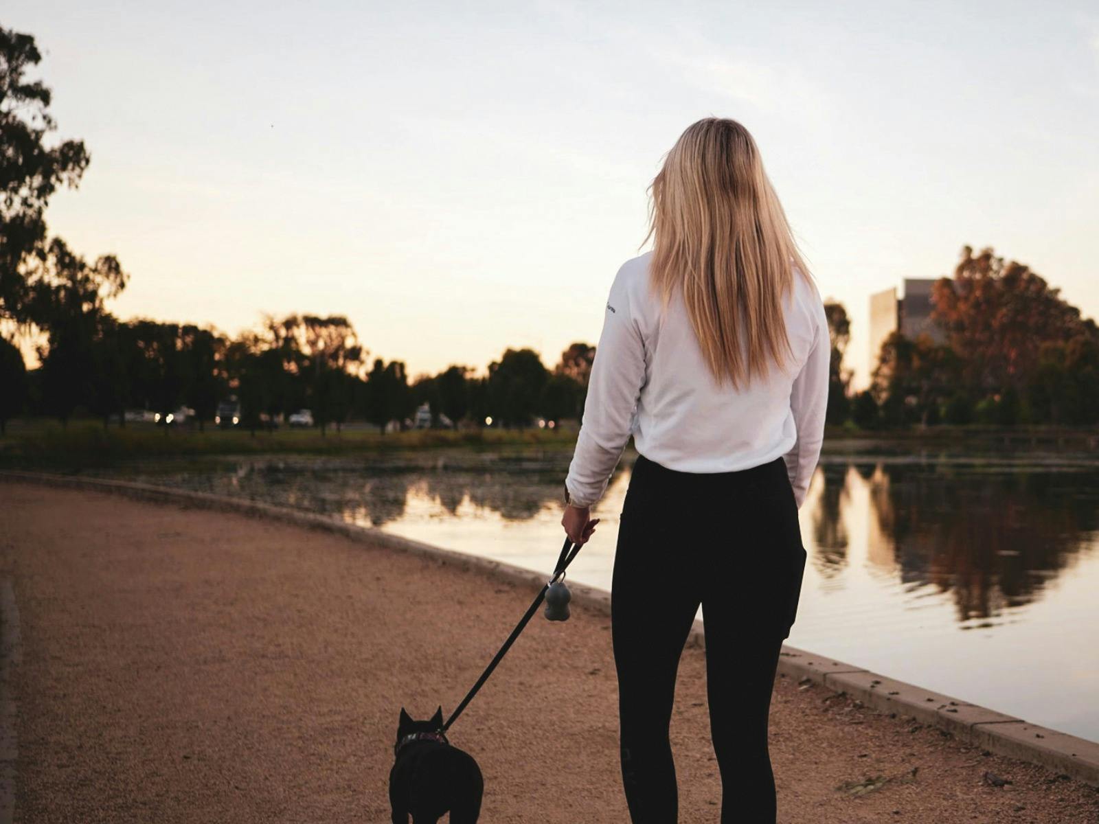 Vic Park Lake Walking track