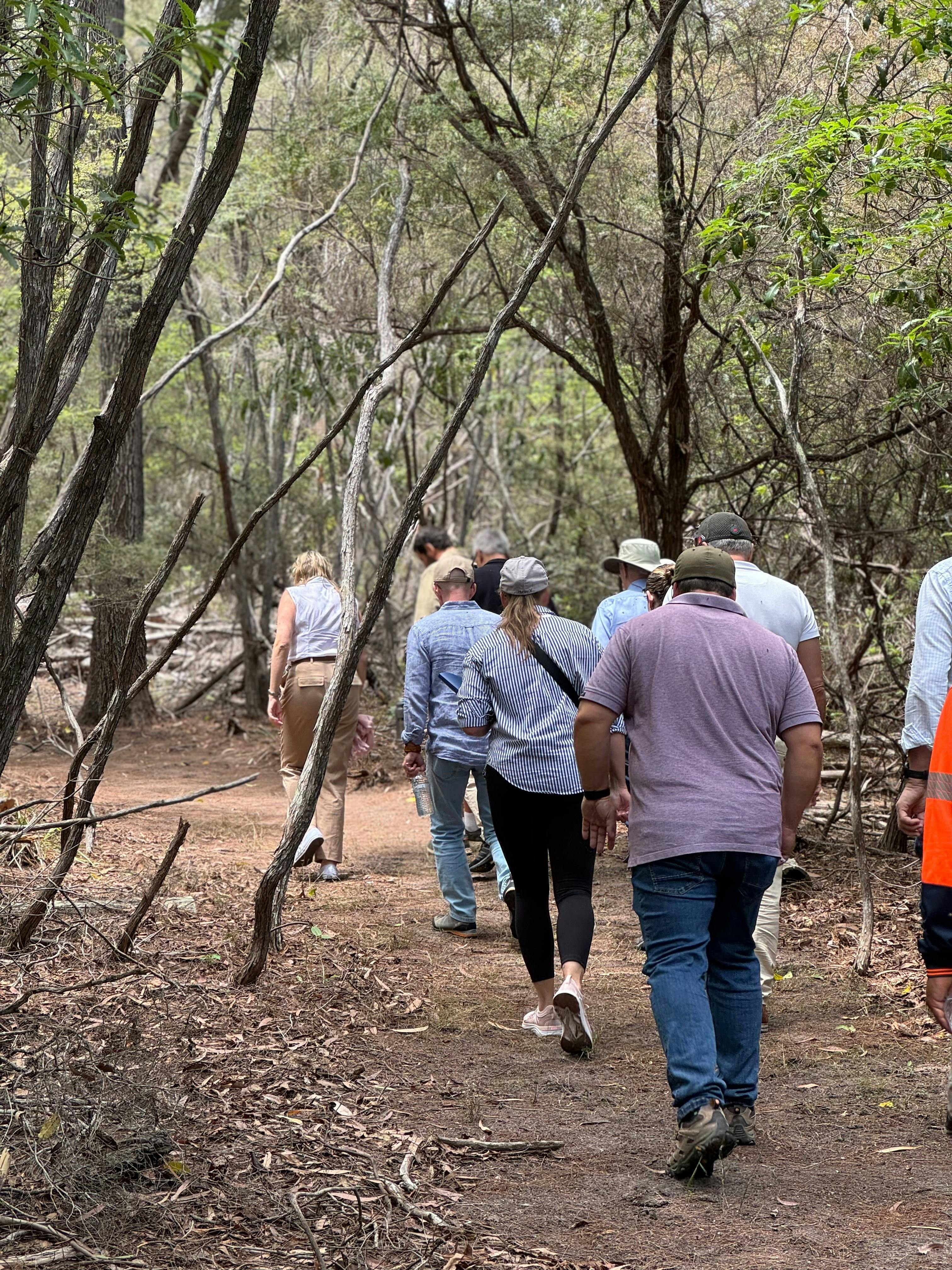 Jigamy에서 Pinnacles까지의 트레일을 따라 숲 속을 걷는 사람들의 그룹