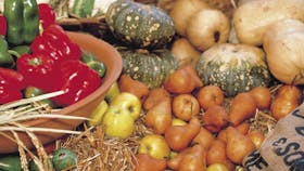 Farmers Market