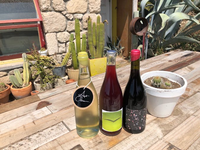 Aunt Alice Wines