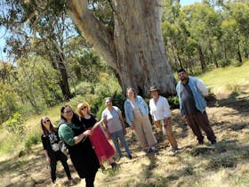 The Hahndorf Story Including a Traditional Custodians Perspective Cover Image