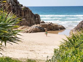 Little Bay to Smoky Cape Walk