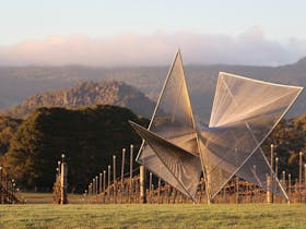 Art in the Vines - Sculpture Exhibition 2024-25 Cover Image