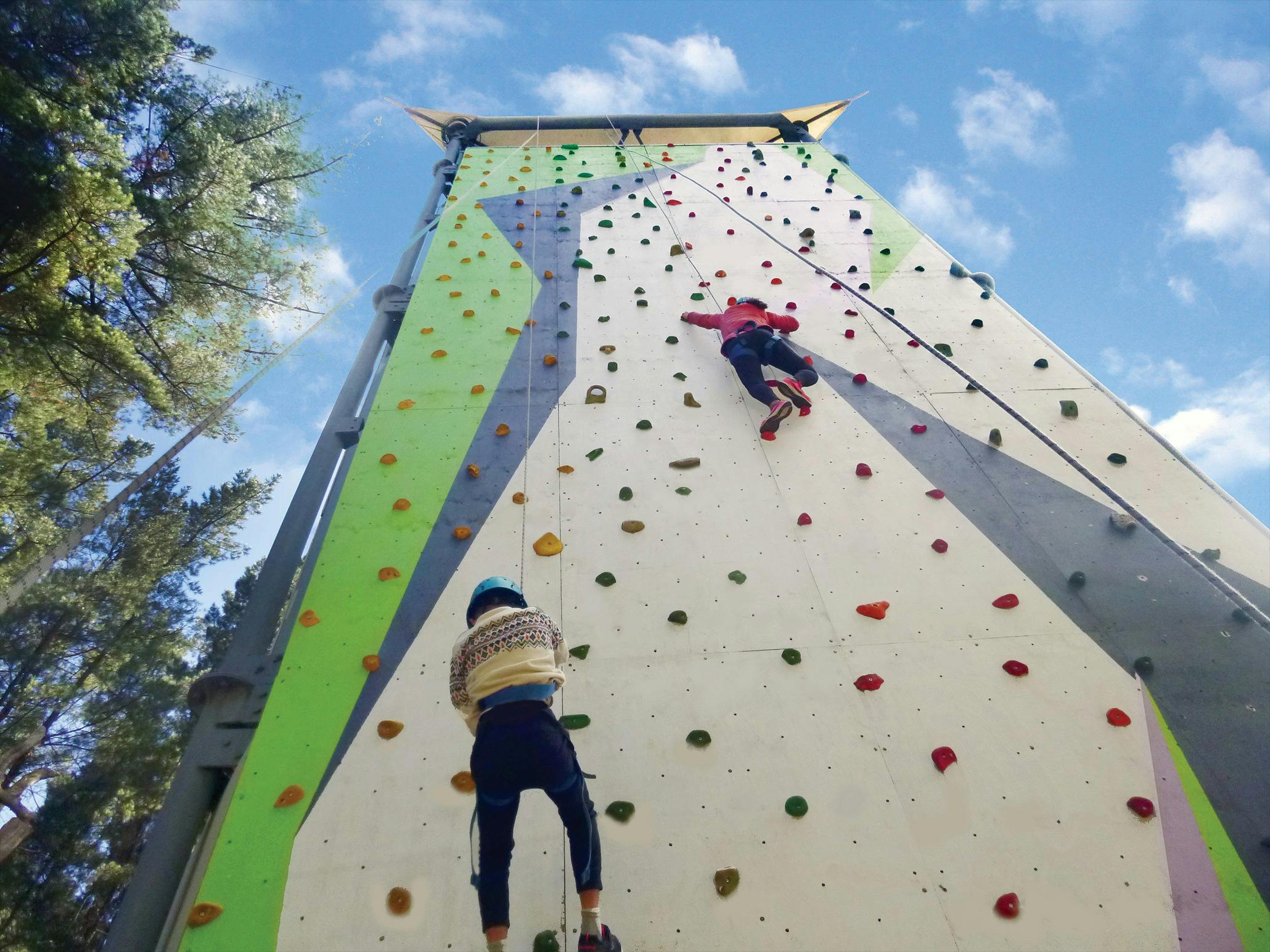 Go Wild at MLAH - School  Holiday