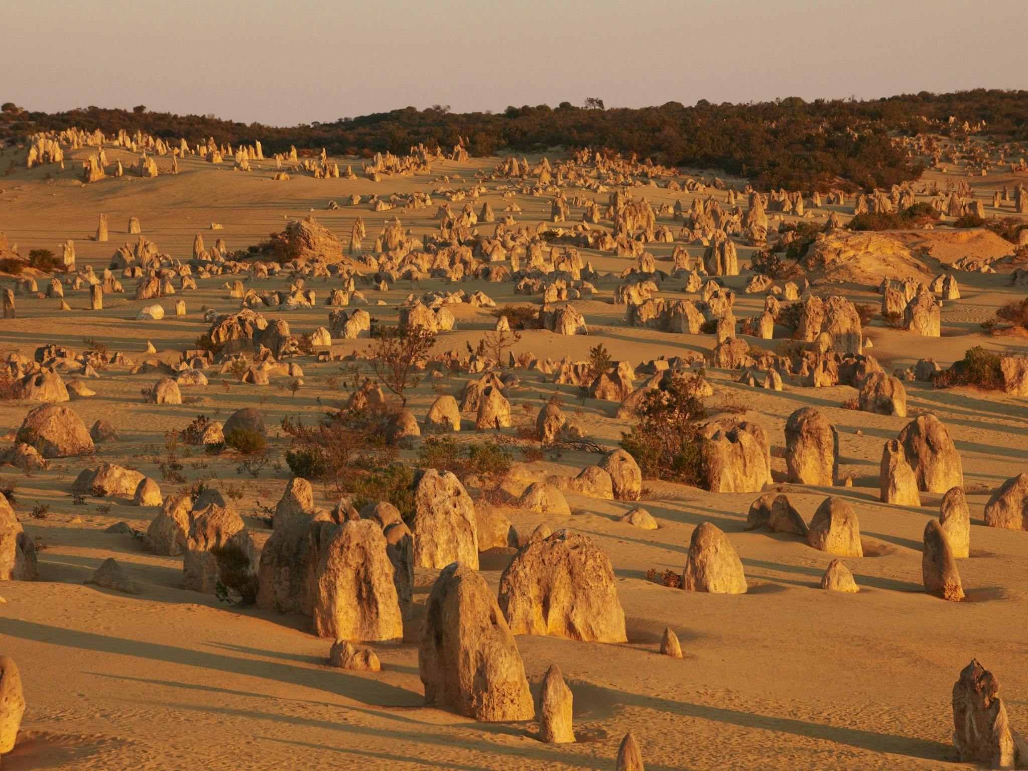 The Pinnacles, Nambung National Park, Cervantes