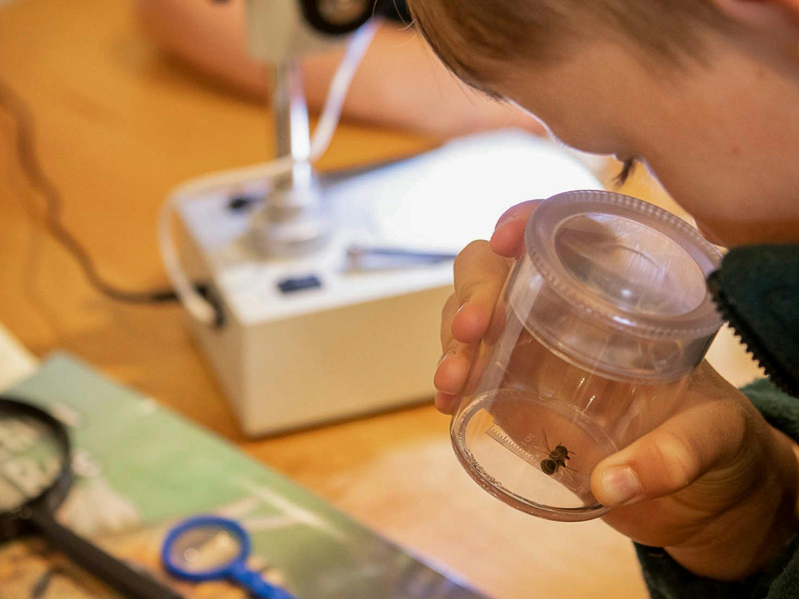 Kids Bee Workshops at Bee School