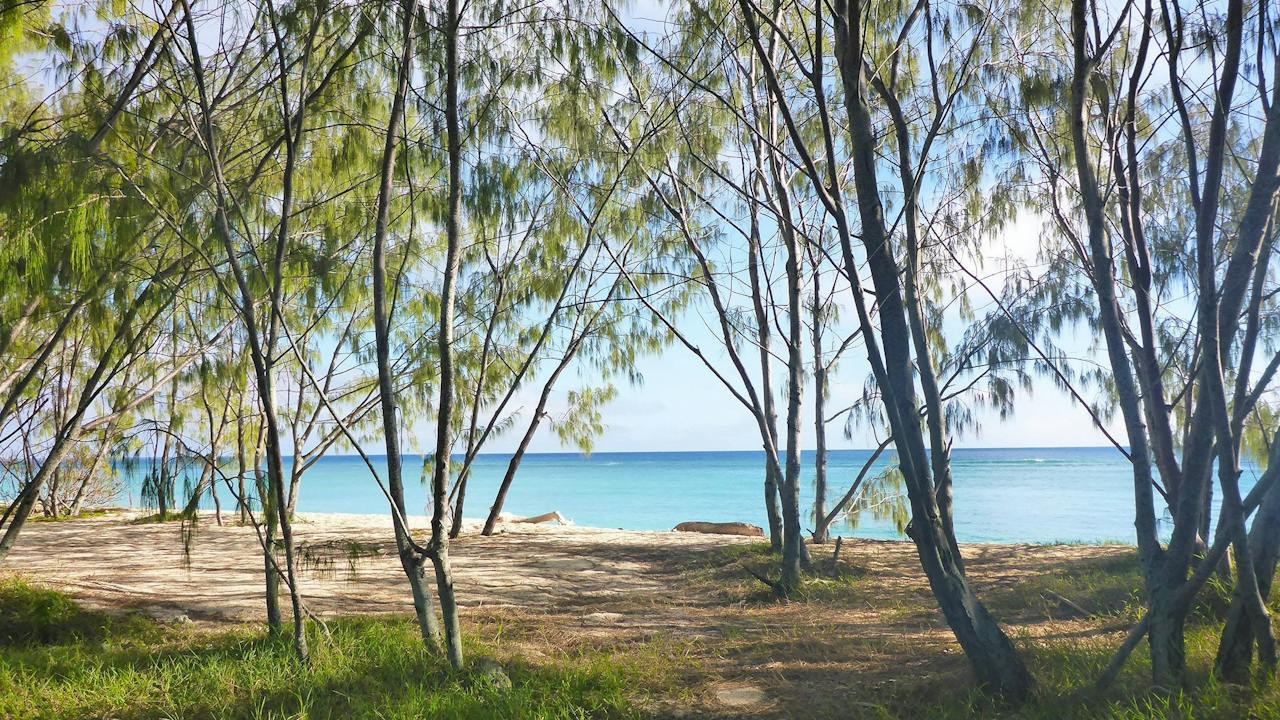 Masthead Island