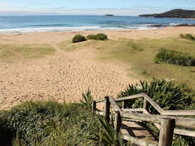 Pretty Beach to Pebbly Beach Walking Track