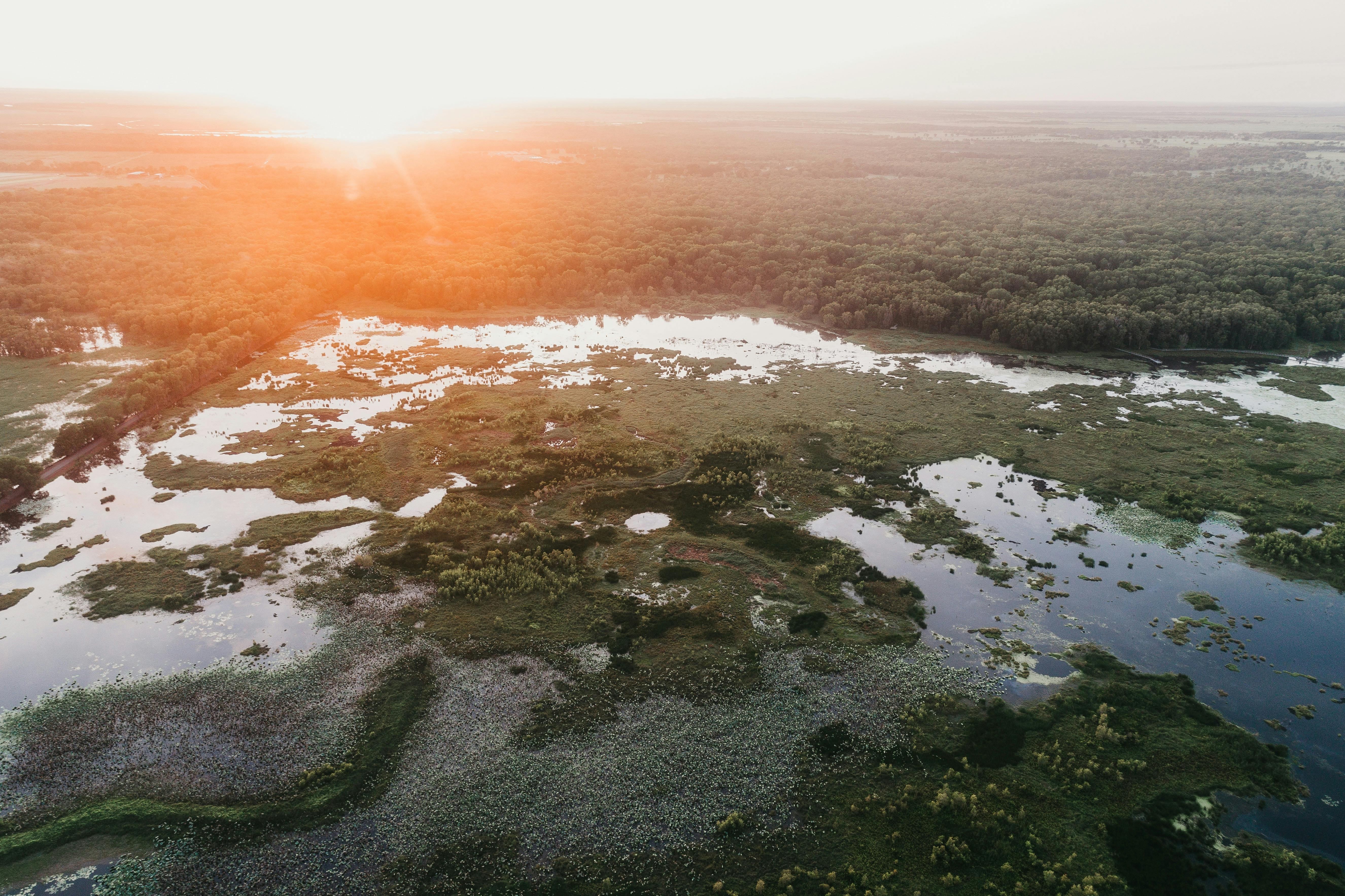 Fogg Dam Conservation Reserve