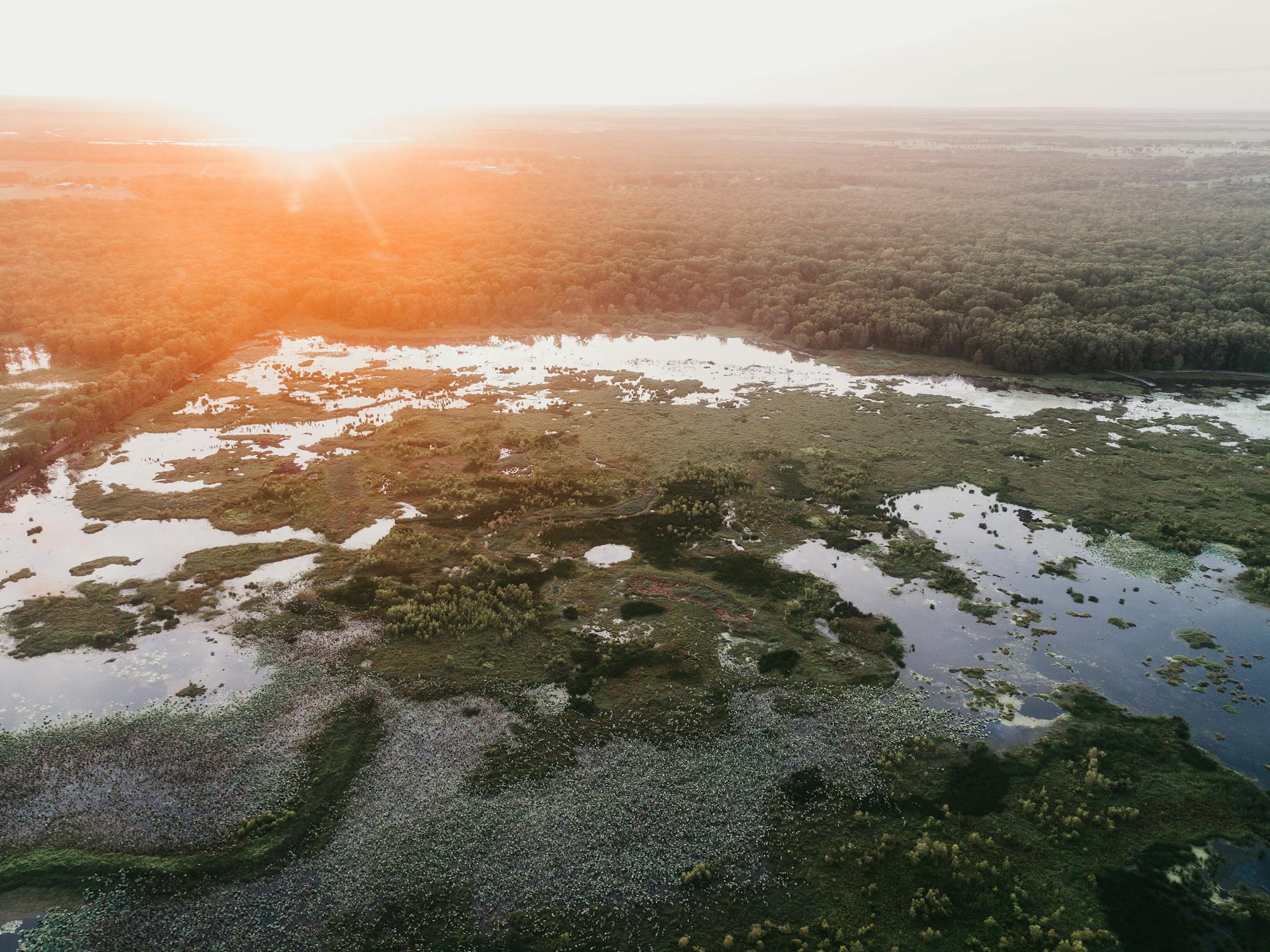 Fogg Dam Conservation Reserve