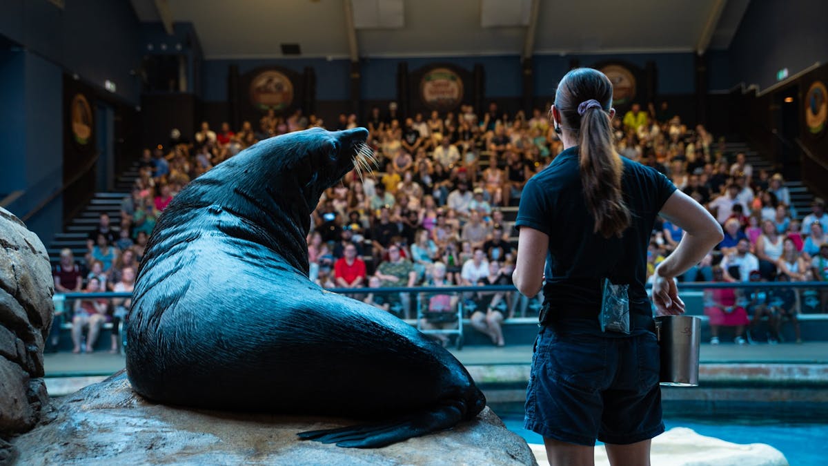Seal Presentation at Seal Island