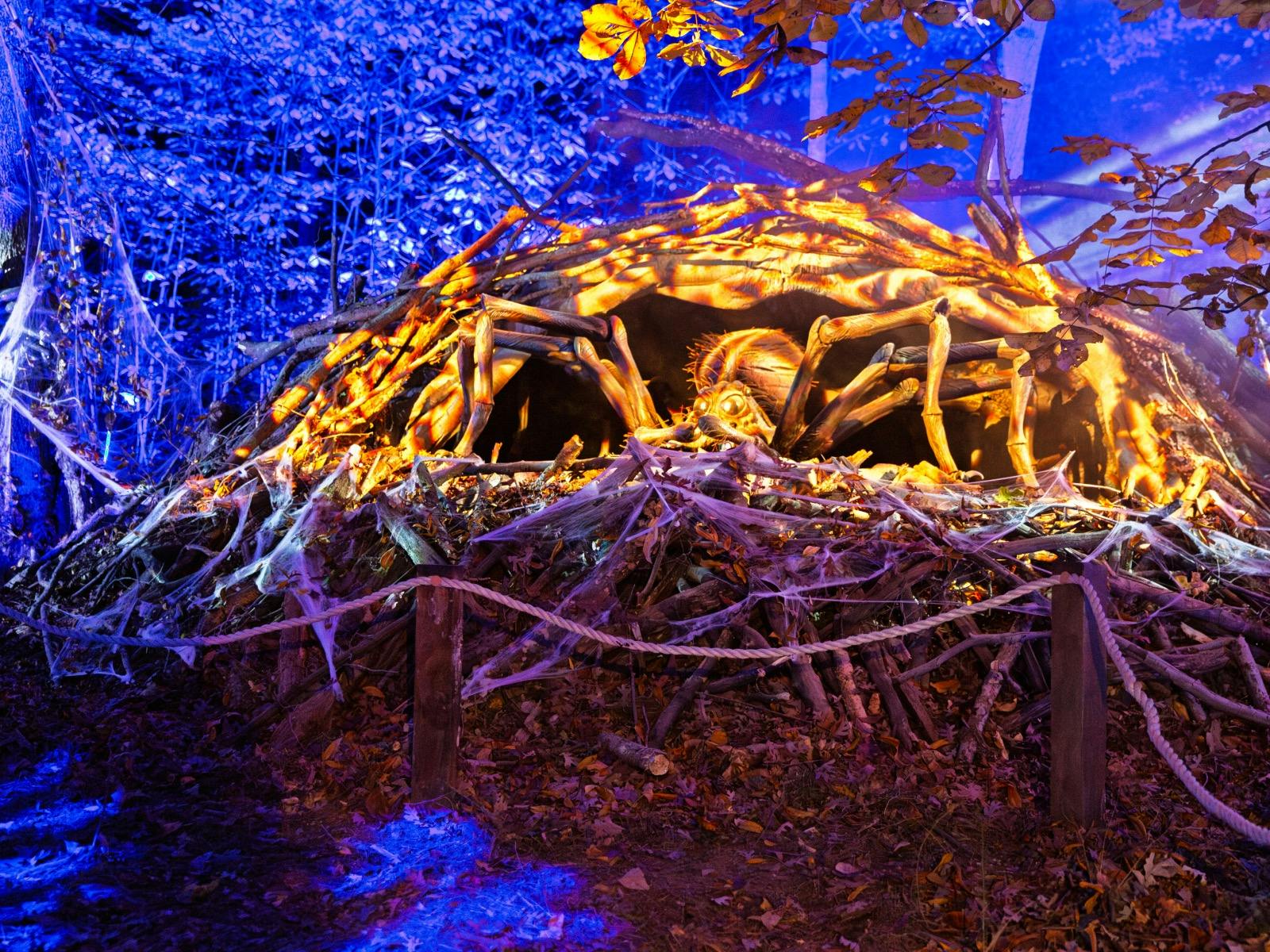 Harry Potter: A Forbidden Forest Experience