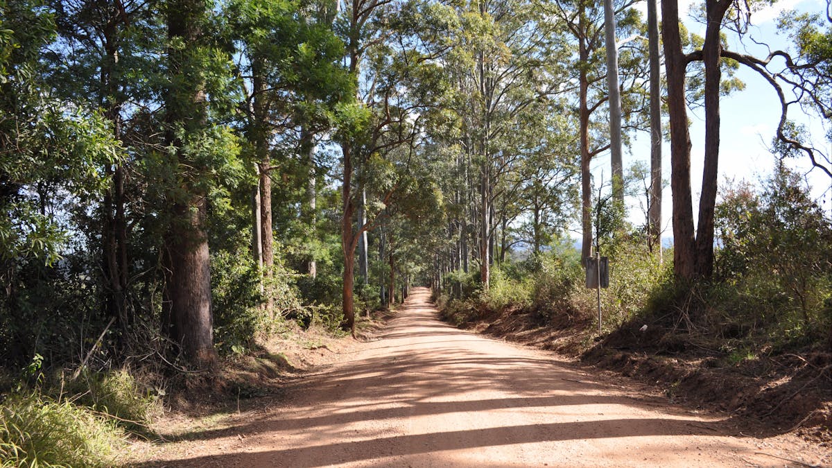 Country back road, Perseverance