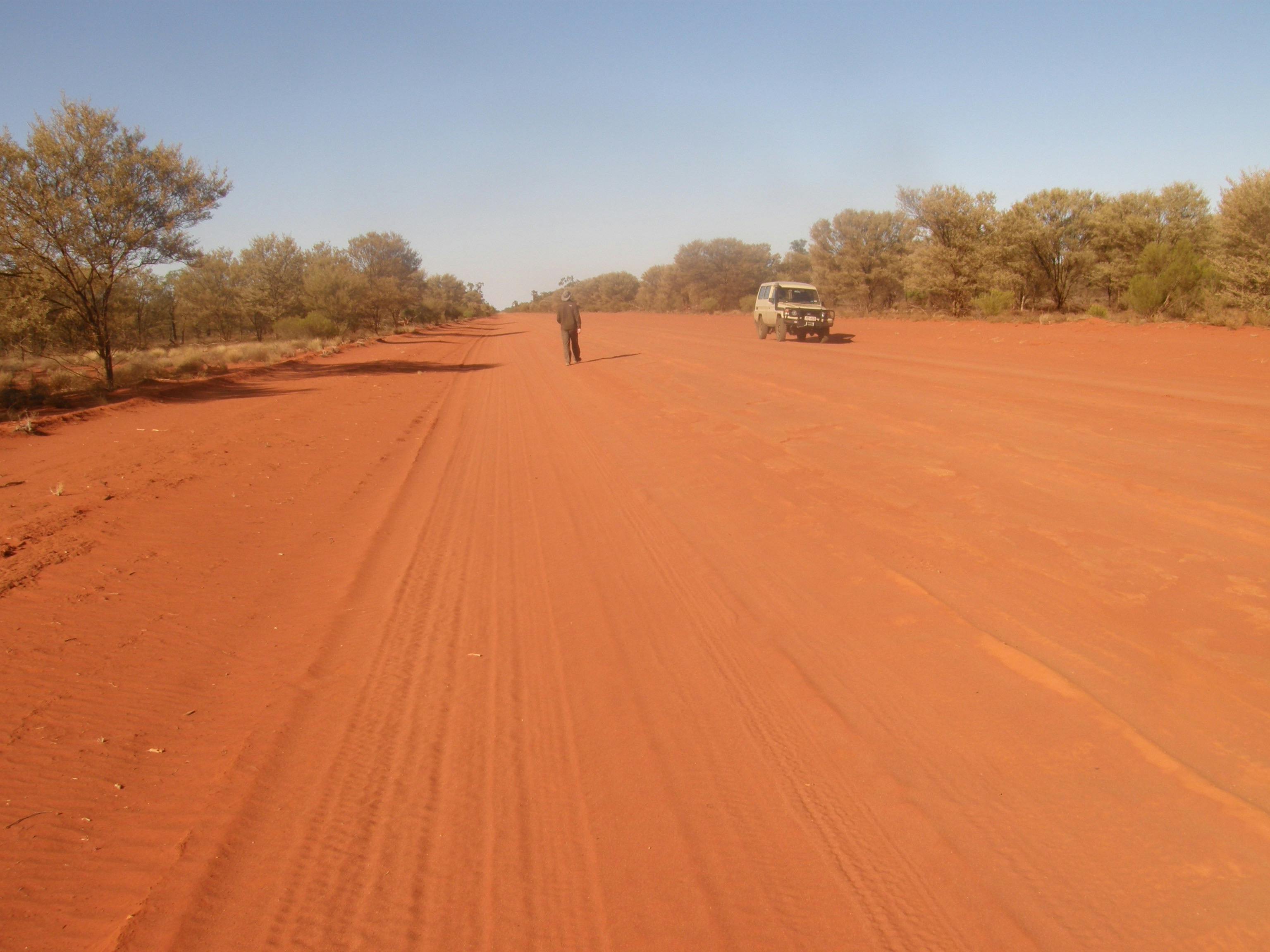 red sands near Currawinya