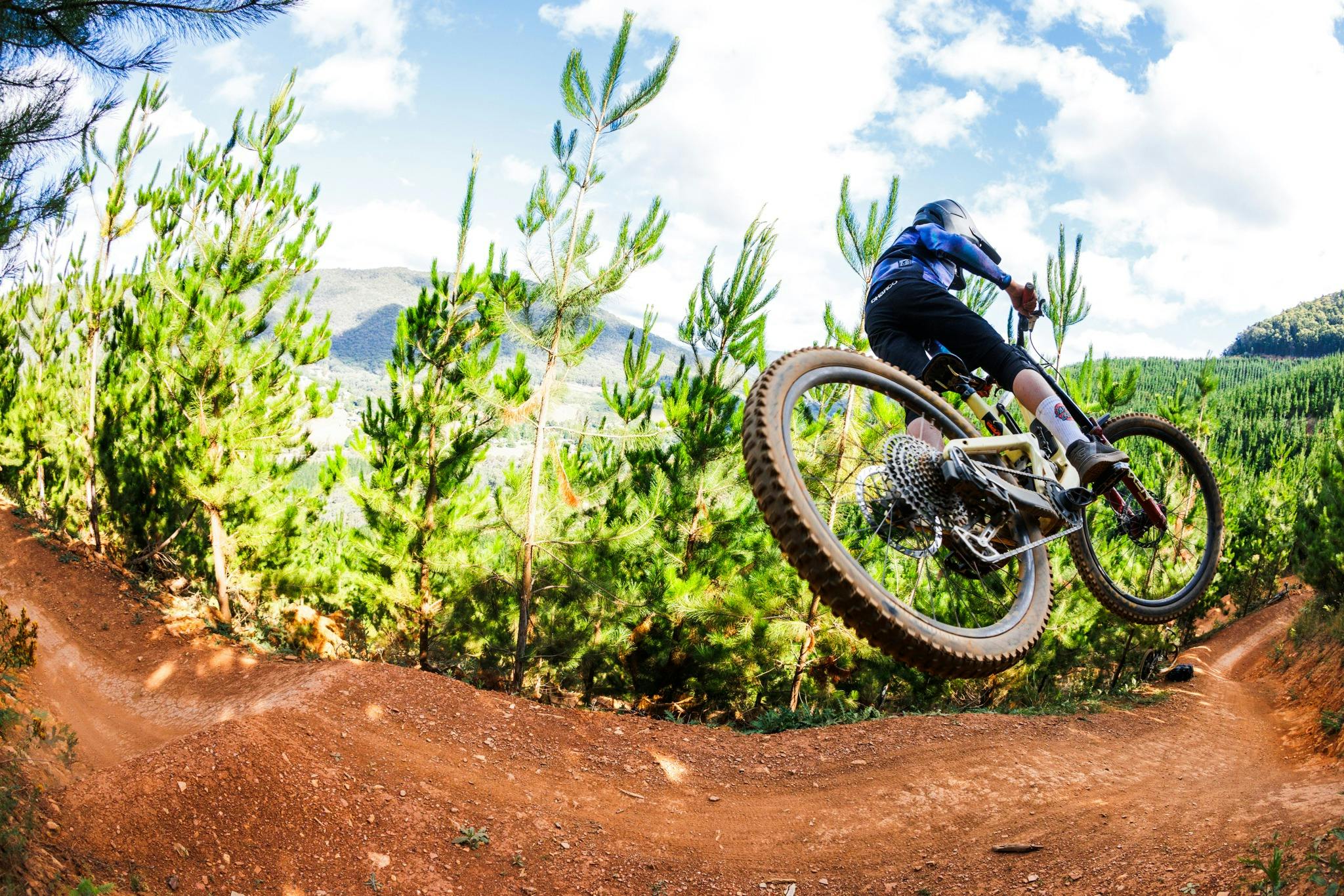 Mountain biker jumping bike in air with pine forest in background