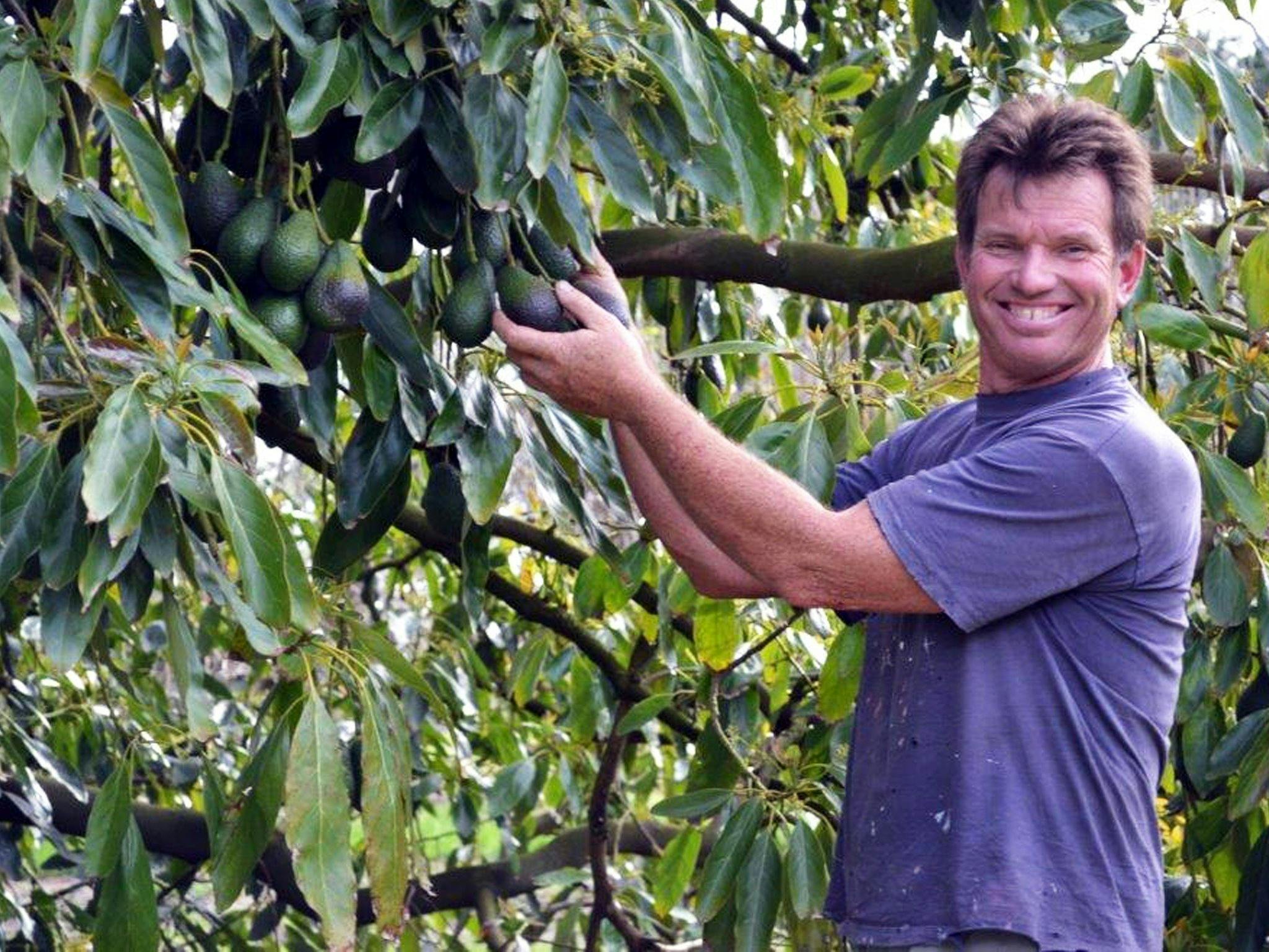 Central Coast Plateau Harvest Trail