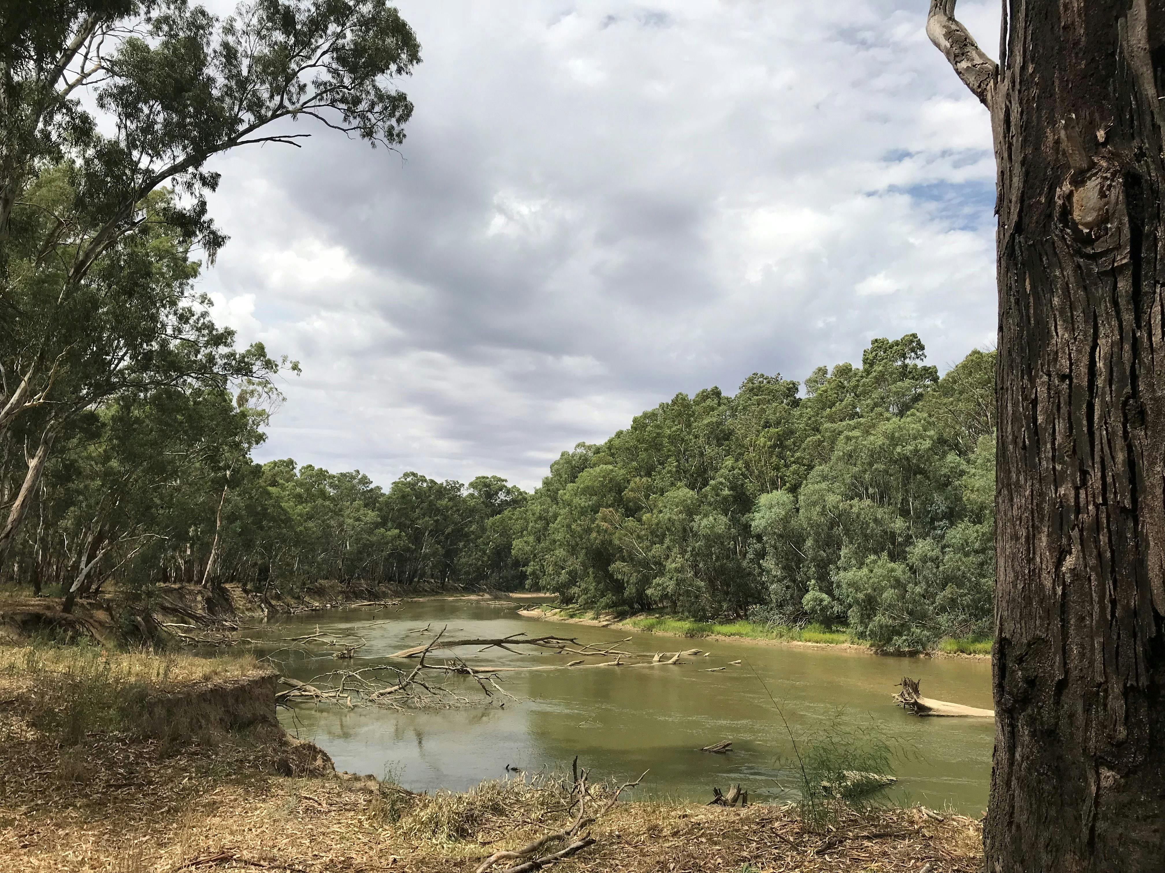 Murrumbidgee, river, camping, riverina