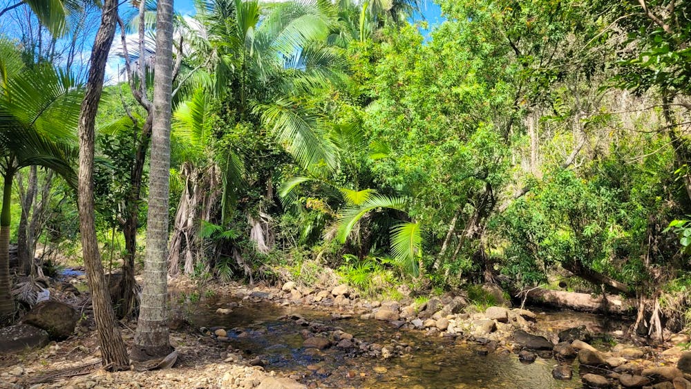 Alligator Falls Track, Bowling Green Bay National Park