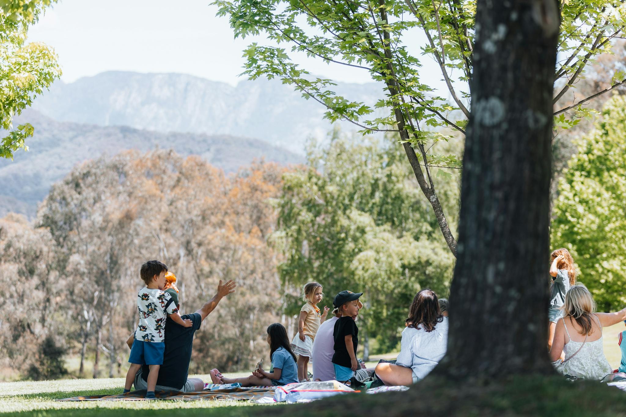 Family enjoying themselves on the lawn at Ringer Reef