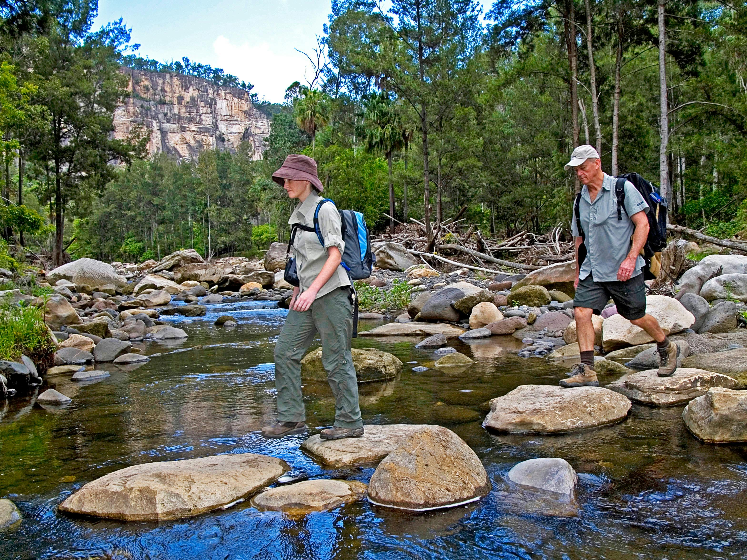 Carnarvon Gorge