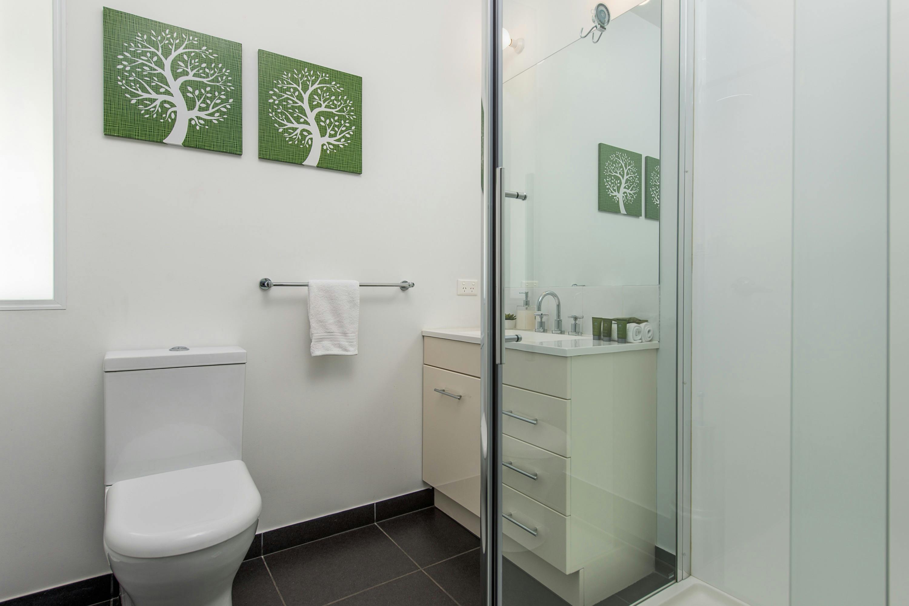 Apartment 1 main bathroom with shower, toilet and vanity