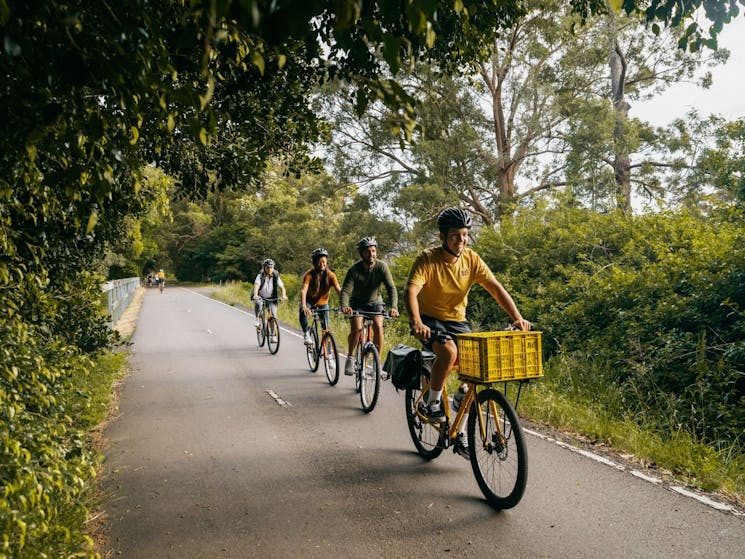 Riding the Fernleigh Track with a tour group