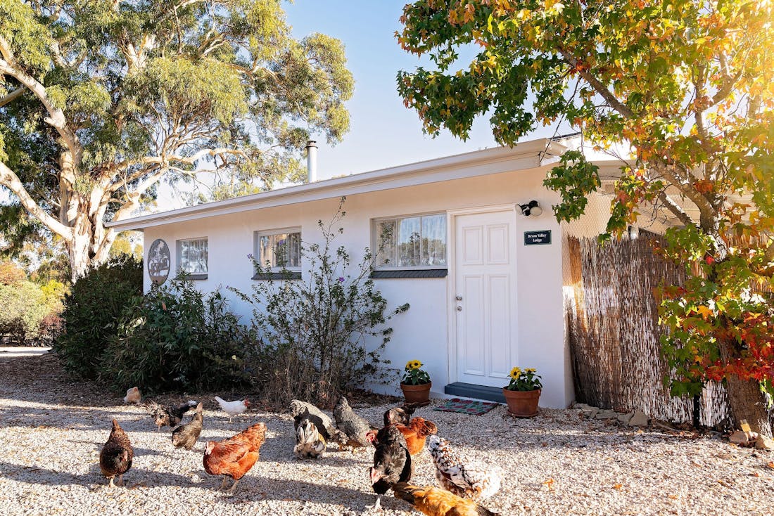 Devon Valley Lodge at Devon Valley Farm Stays, Devon Valley Lodge...