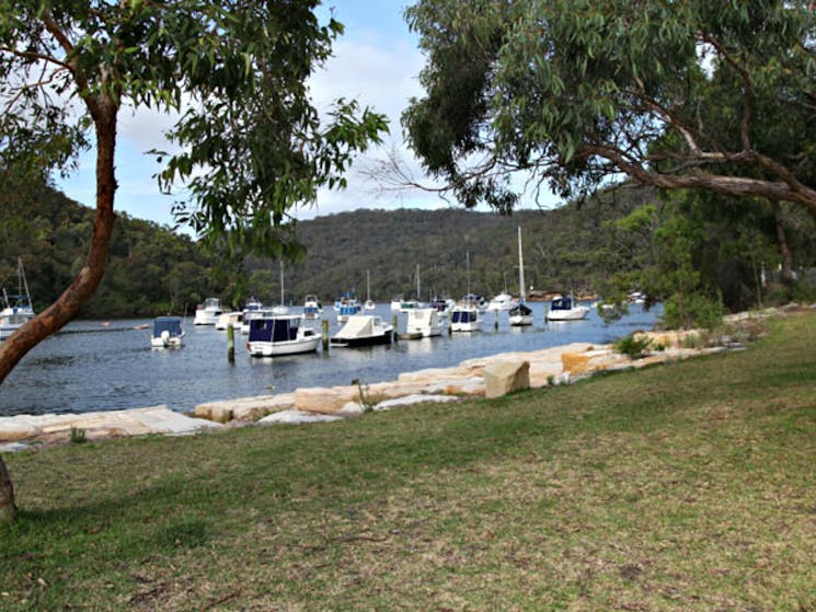 Apple Tree picnic area, Ku-ring-gai Chase National Park. Photo: Andy Richards