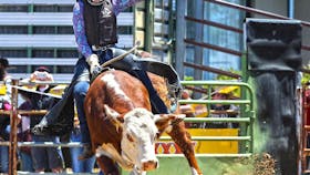 Jindabyne Rodeo