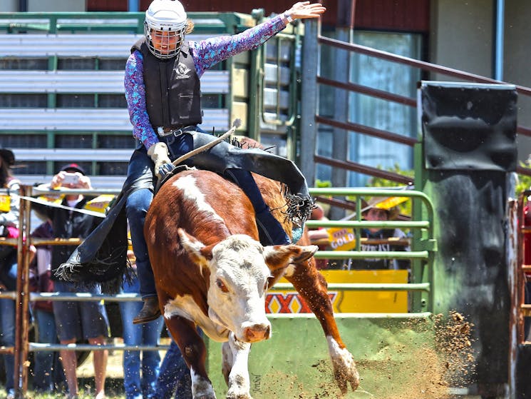 Jindabyne Rodeo