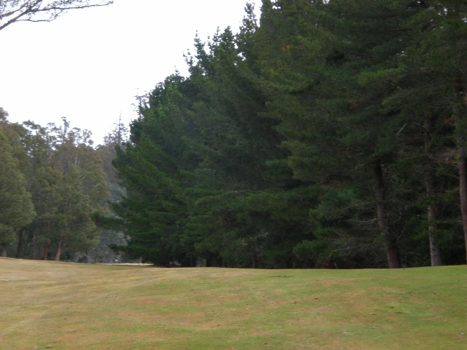 Tarraleah 9 hole golf course is Tasmania's highest golf course.