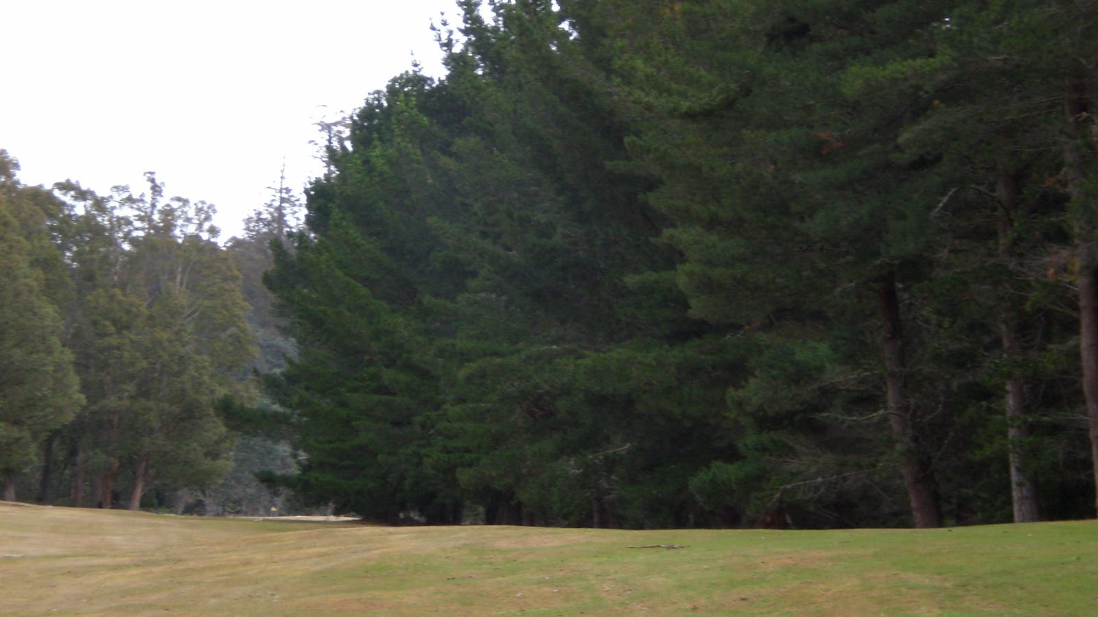 Tarraleah 9 hole golf course is Tasmania's highest golf course.