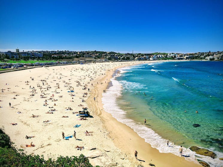 Sydney to Bondi Beach Private Tour | NSW Holidays & Accommodation ...