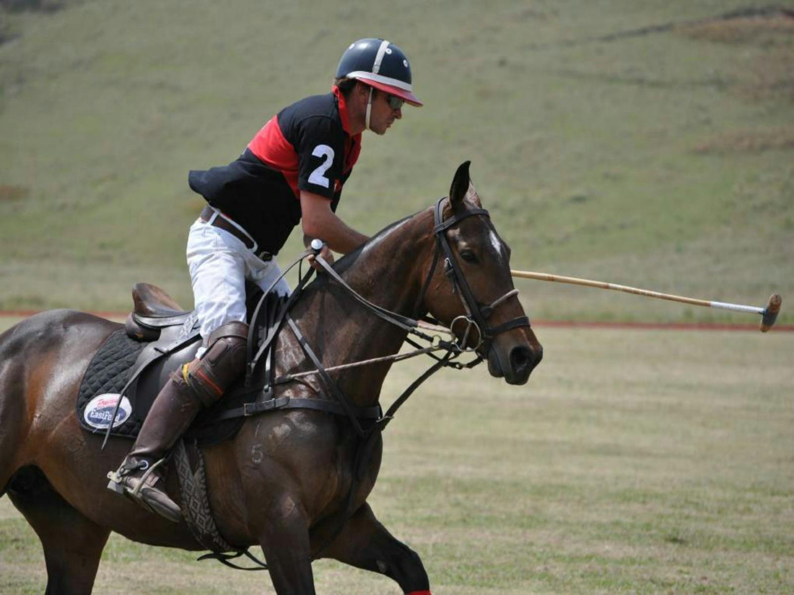 Image for Wirragulla Annual Polo Tournament