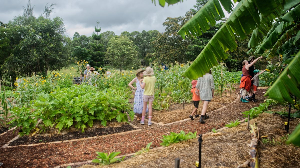 Visitors walking around the Farm