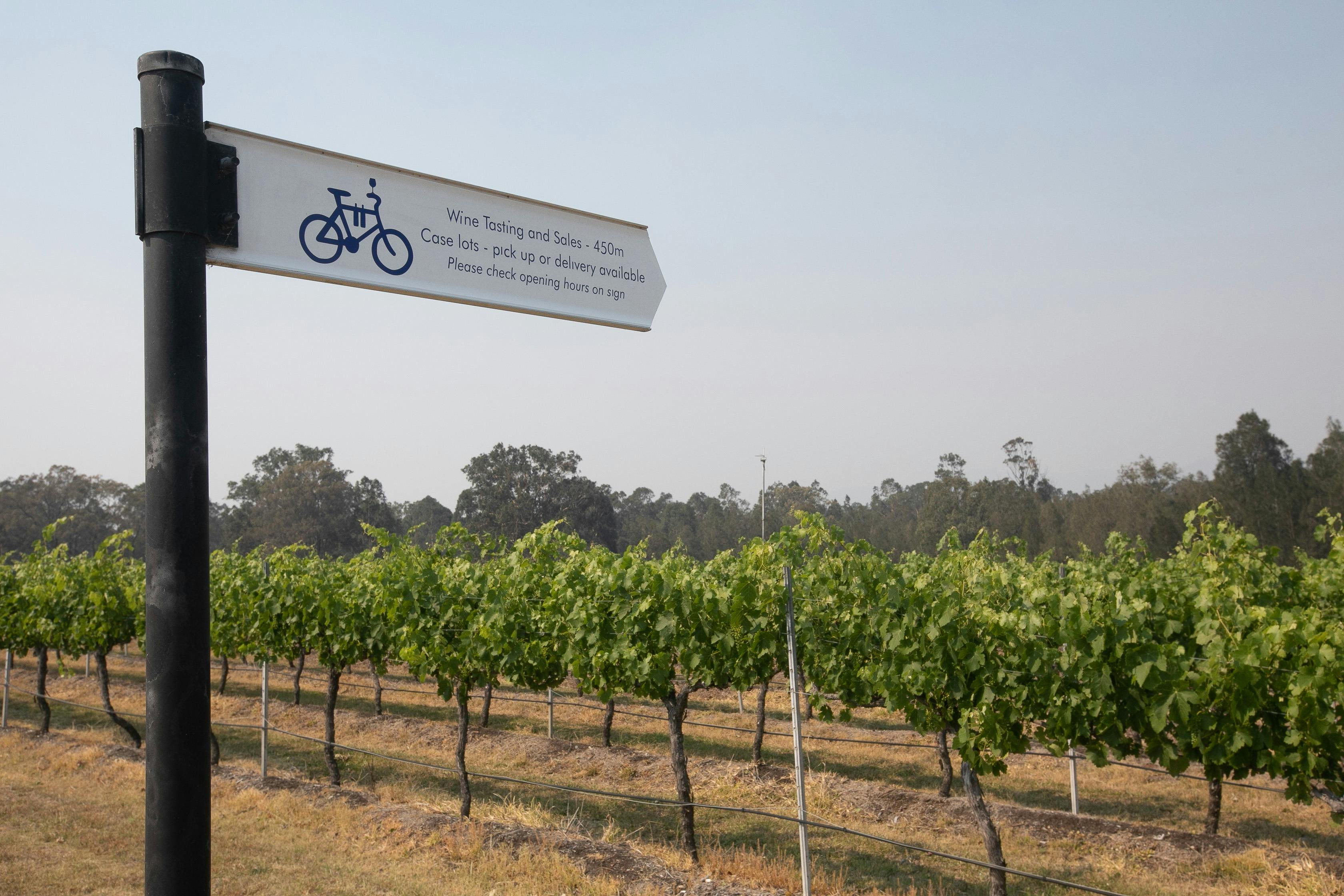 Hunter Valley Cycle Tour Short Break