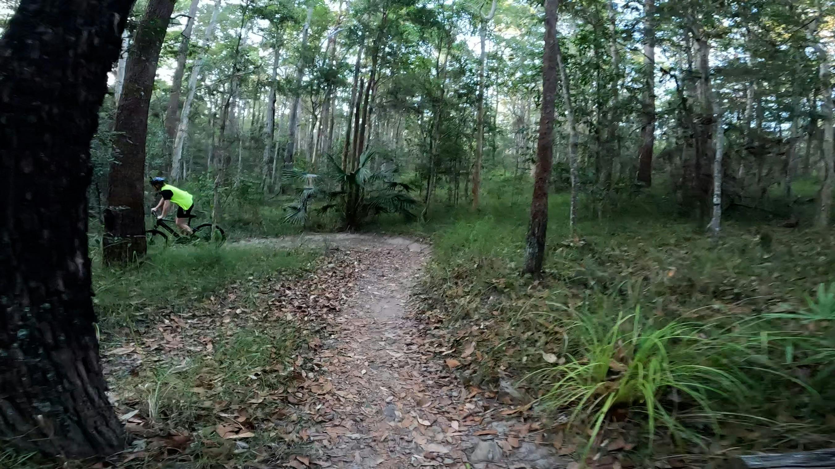 e-MTB Hire Sunshine Coast @ecoTekkSC