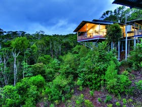 O'Reilly's Rainforest Retreat
