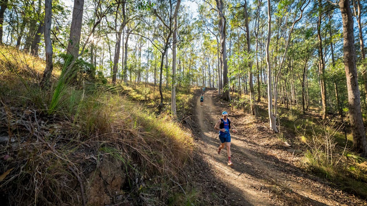 Runners heading down a steep trail among trees