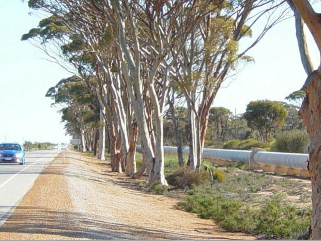 Golden Pipeline Heritage Trail
