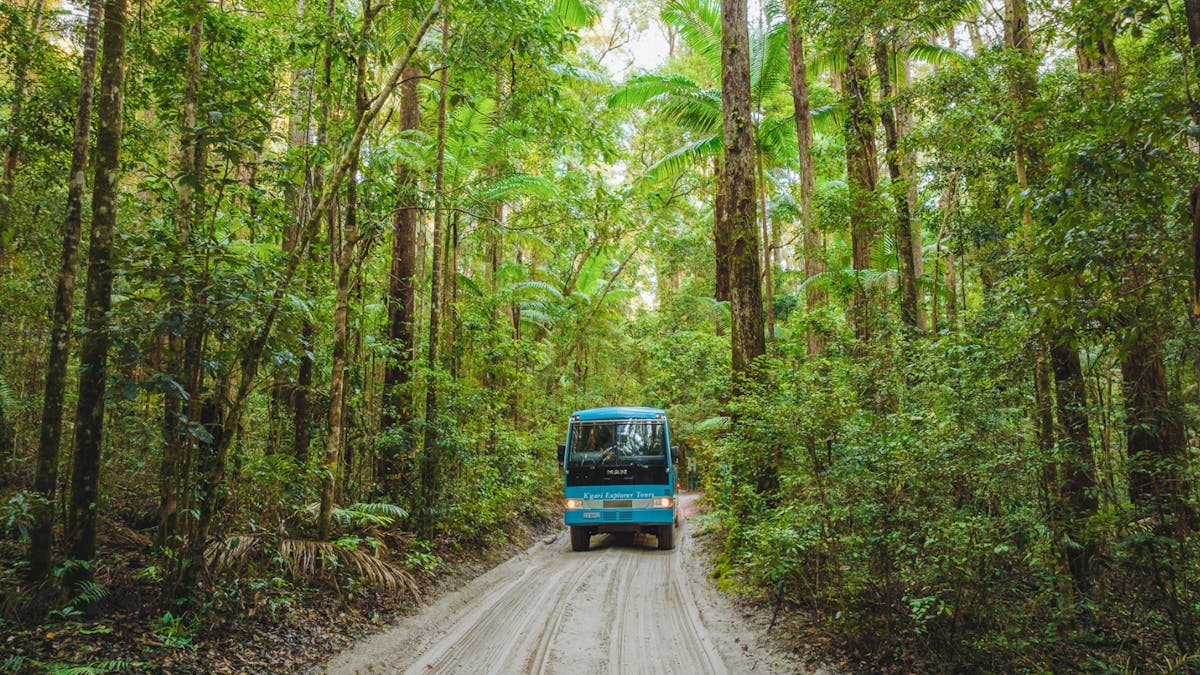 Guided 4WD coach tour exploring the iconic Fraser Island sights