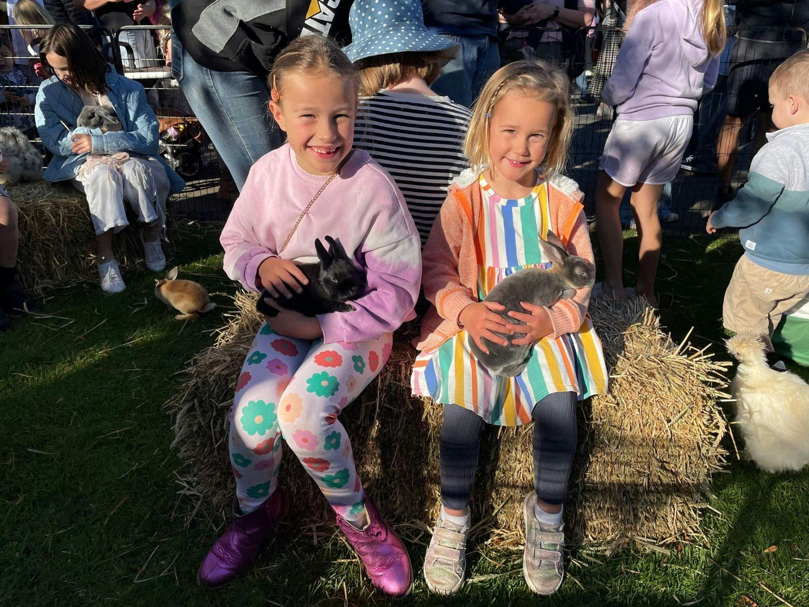 Farm Barn Petting Zoo