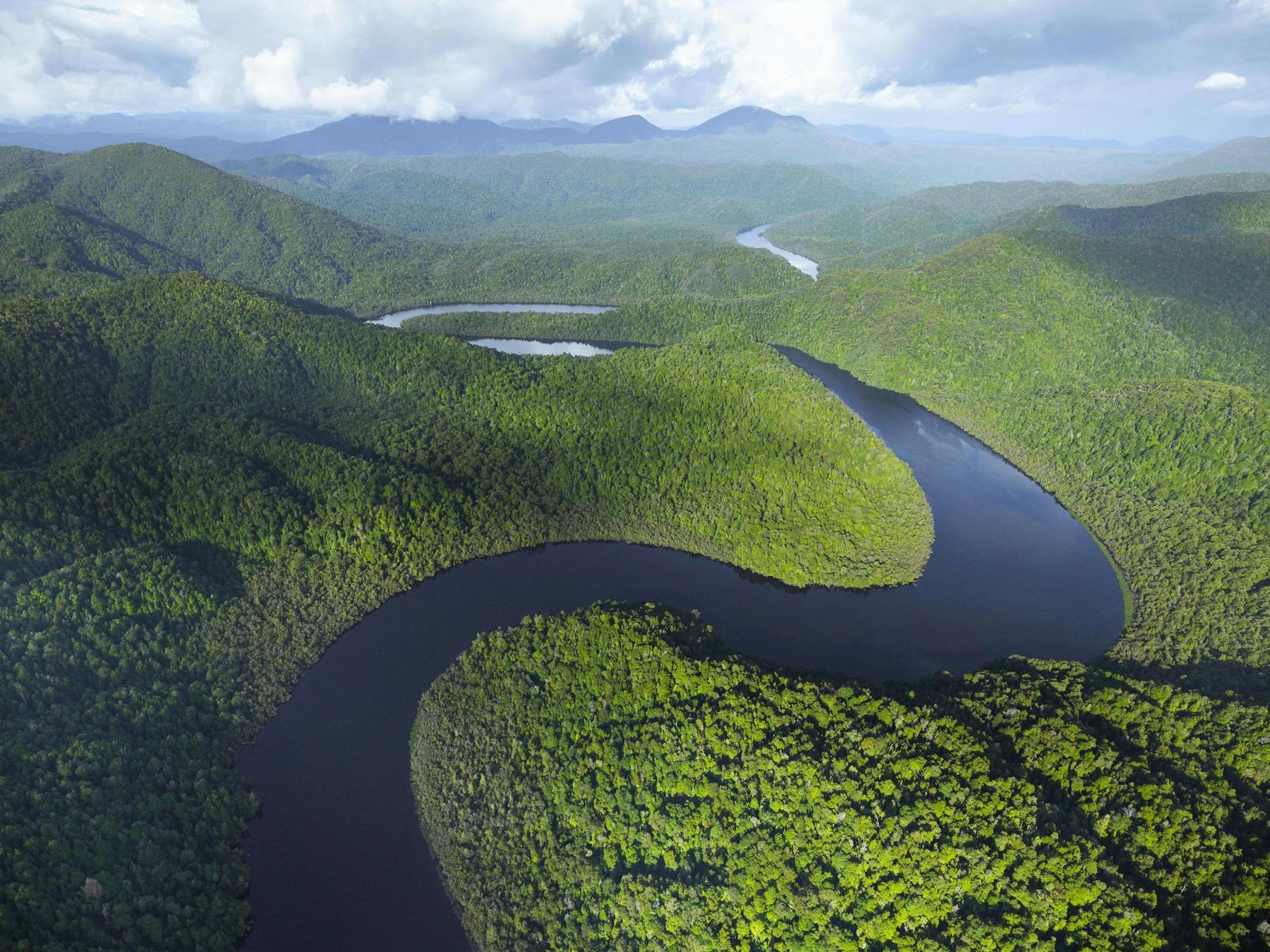 Aerial view of Gordon River
