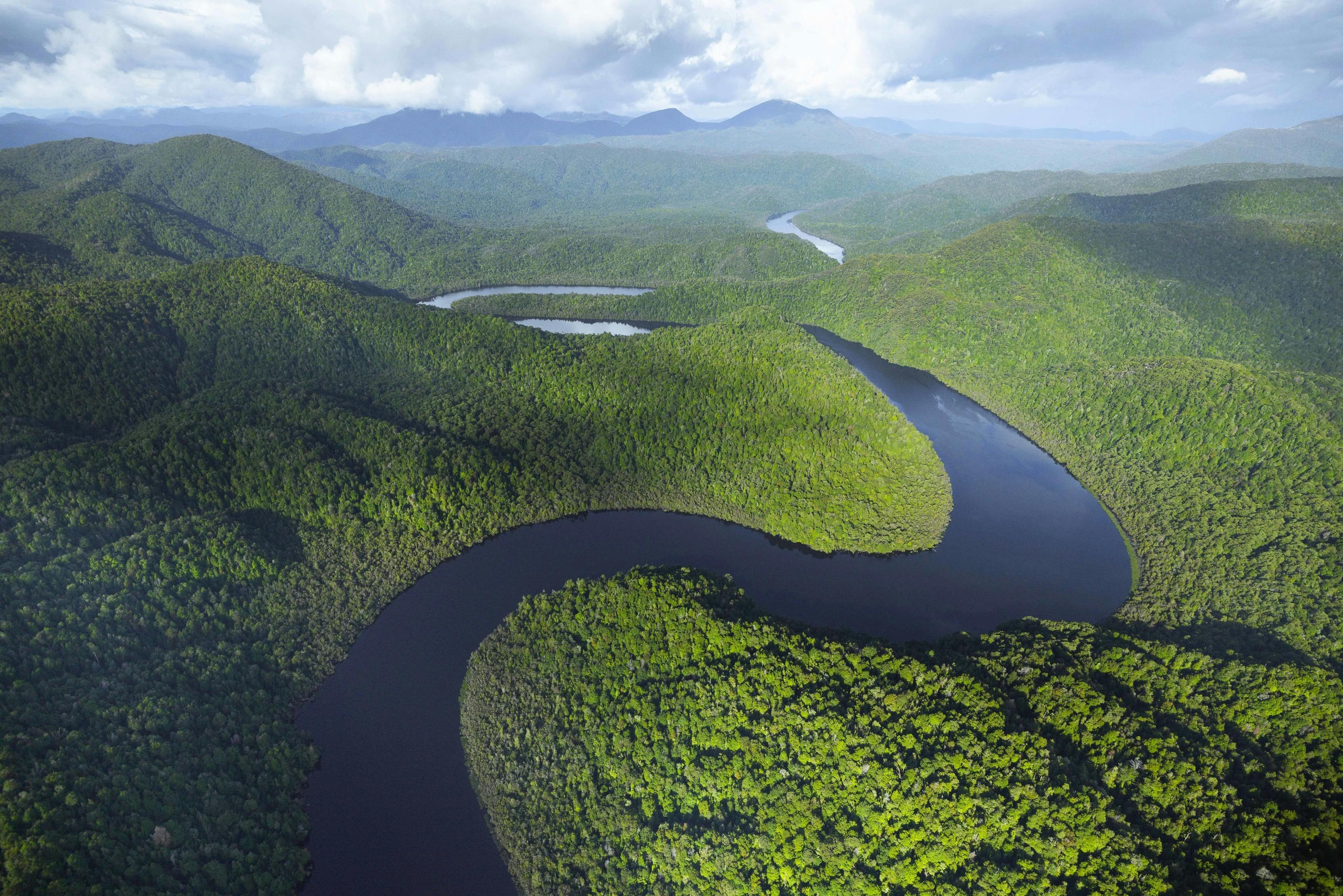 The Gordon River