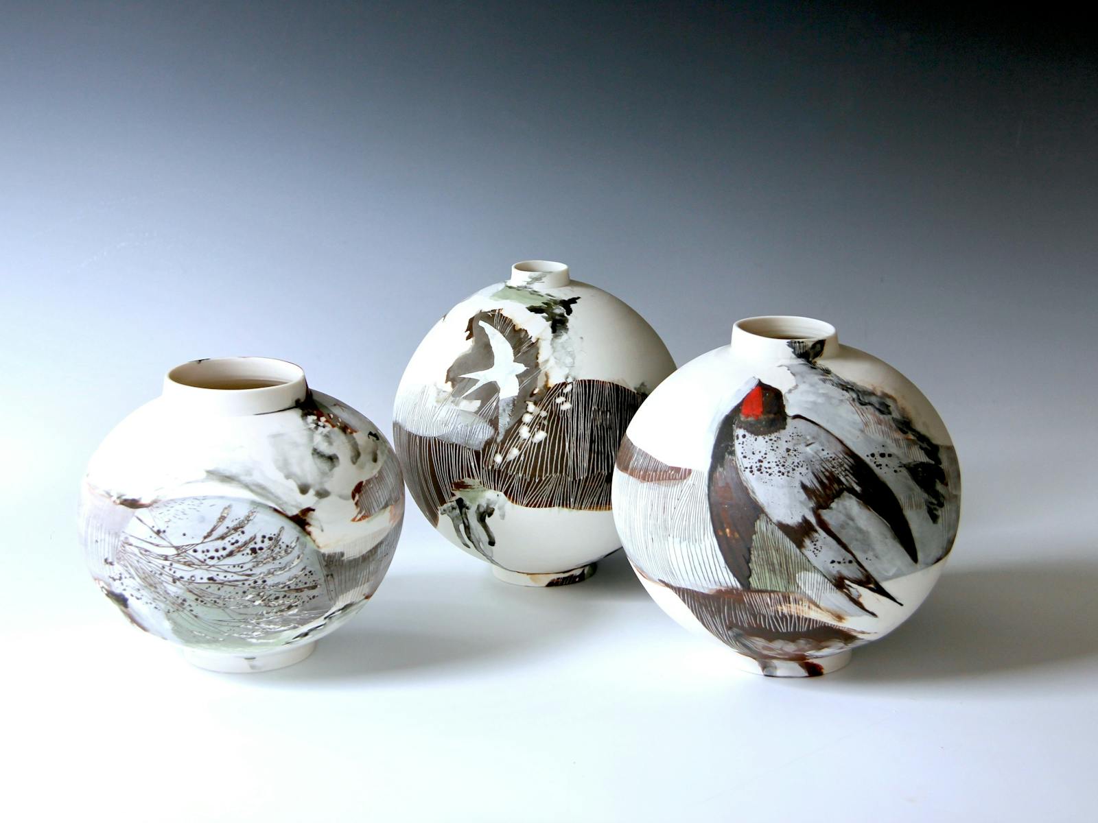 Image for Shannon Garson: Vessels and Bird Stories