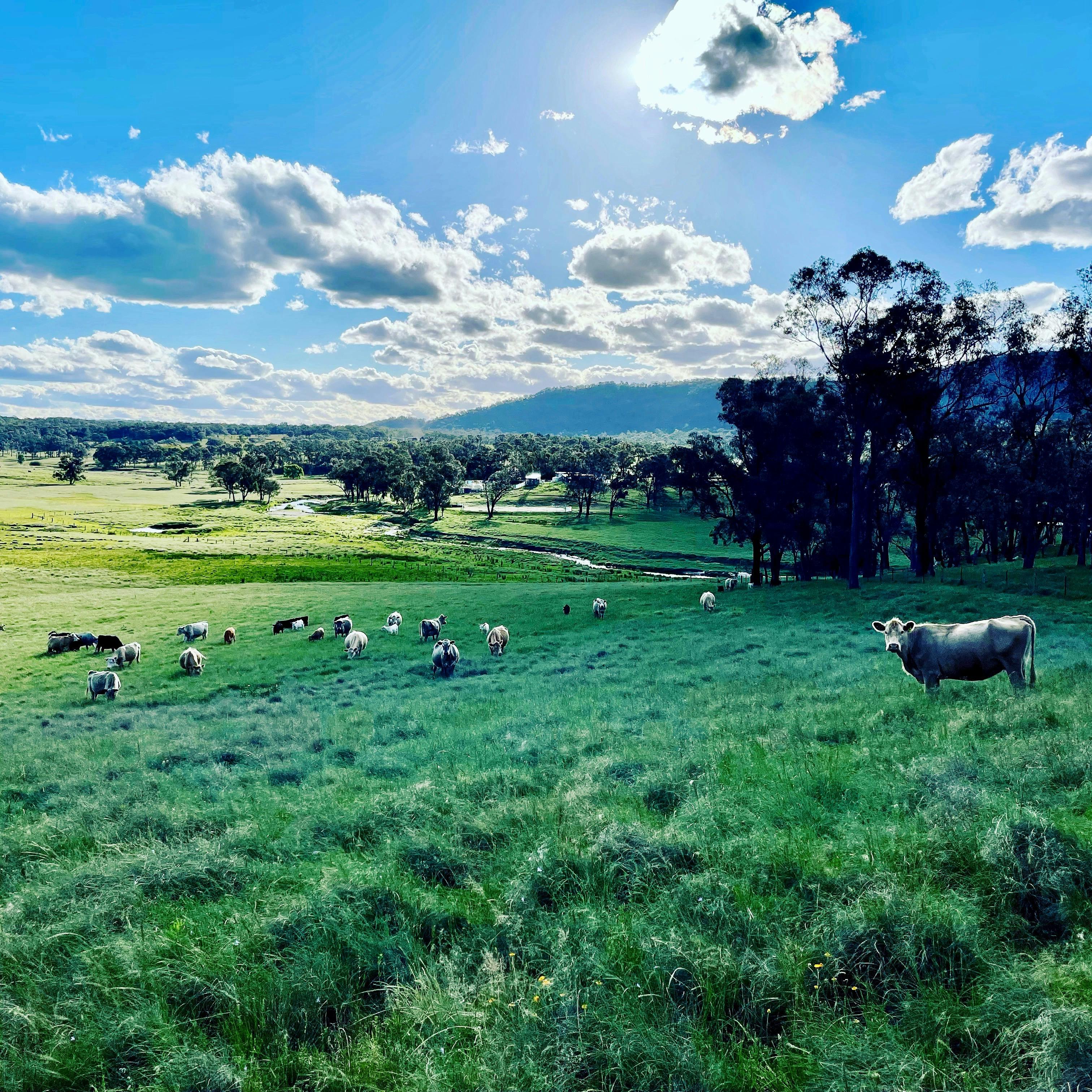 도네갈 팜스테이
