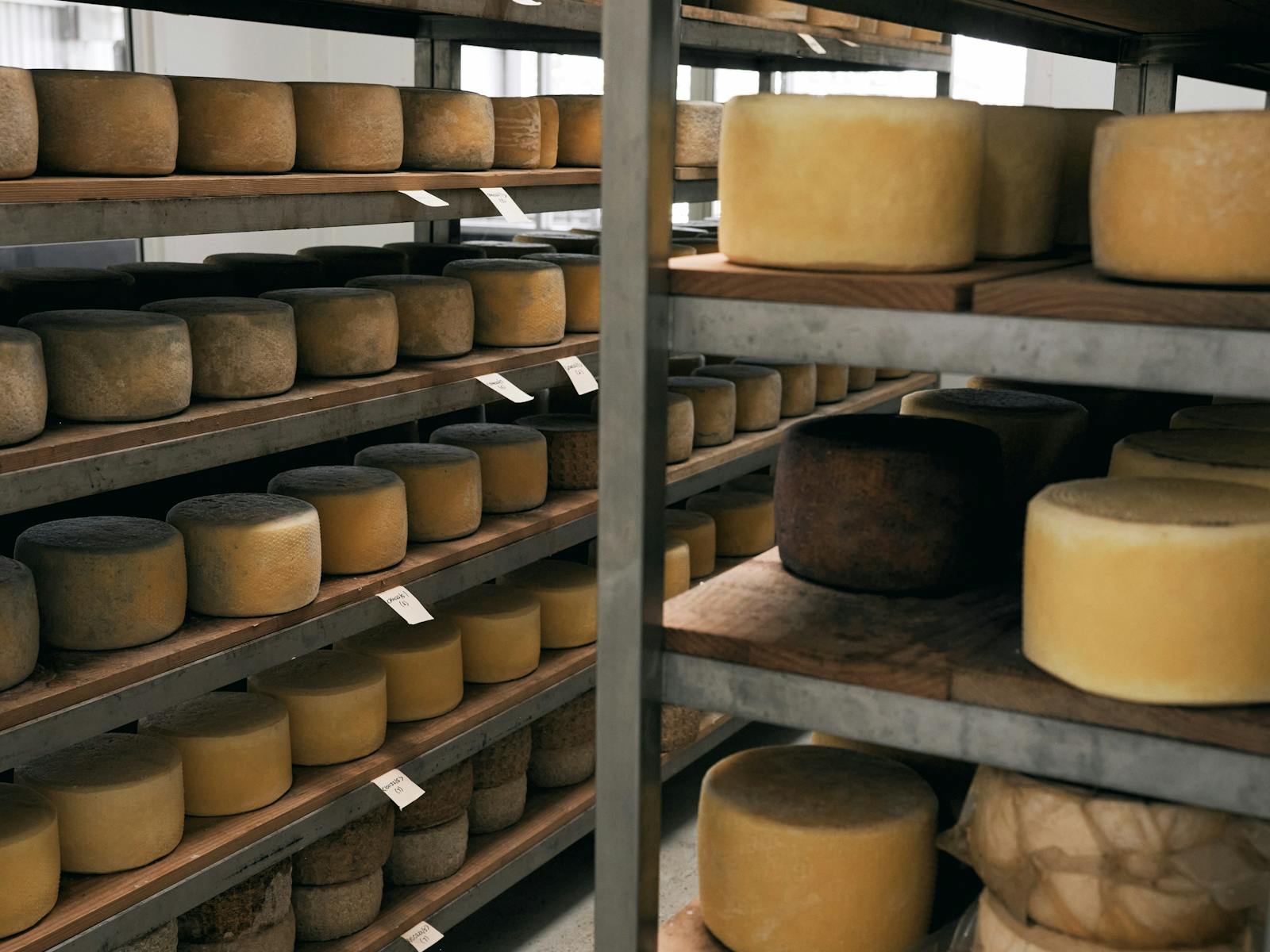 Shelving filled with a variety of handmade cheeses.