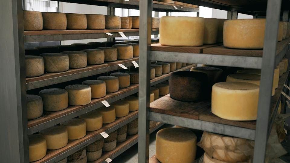 Duck River Meadows Robotic Dairy & Cheese Tour photo